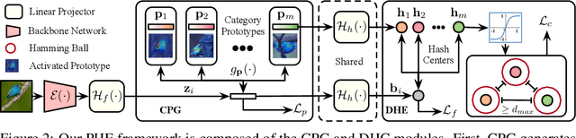 Figure 3 for Prototypical Hash Encoding for On-the-Fly Fine-Grained Category Discovery