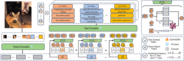 Figure 3 for Tree of Attributes Prompt Learning for Vision-Language Models