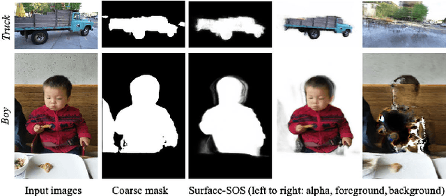 Figure 4 for Surface-SOS: Self-Supervised Object Segmentation via Neural Surface Representation