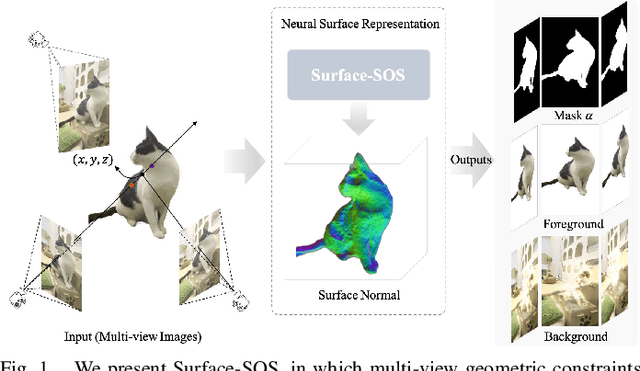 Figure 1 for Surface-SOS: Self-Supervised Object Segmentation via Neural Surface Representation