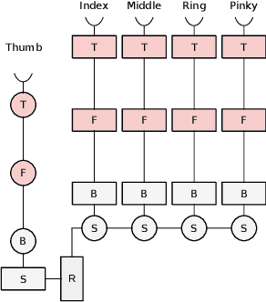 Figure 4 for Adaptive Kinematic Modeling for Improved Hand Posture Estimates Using a Haptic Glove