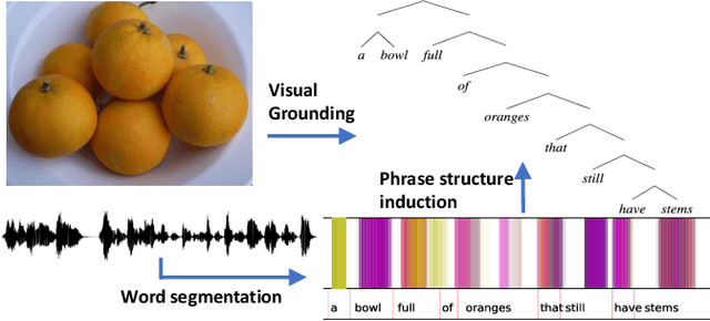 Figure 1 for Audio-Visual Neural Syntax Acquisition