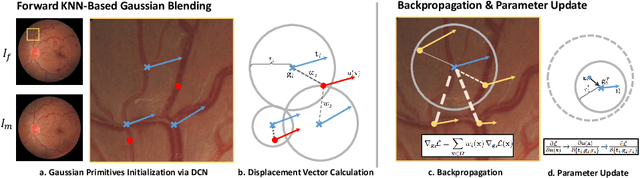 Figure 3 for Gaussian Primitive Optimized Deformable Retinal Image Registration