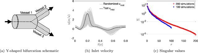 Figure 1 for Reconstructing Blood Flow in Data-Poor Regimes: A Vasculature Network Kernel for Gaussian Process Regression
