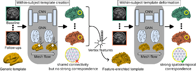 Figure 3 for V2C-Long: Longitudinal Cortex Reconstruction with Spatiotemporal Correspondence