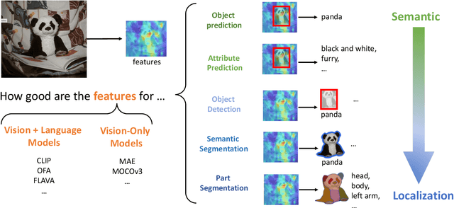 Figure 1 for Localization vs. Semantics: How Can Language Benefit Visual Representation Learning?