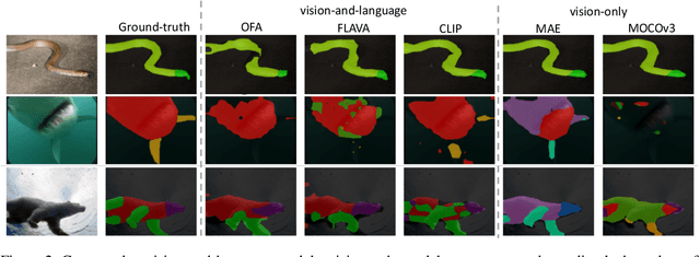 Figure 4 for Localization vs. Semantics: How Can Language Benefit Visual Representation Learning?