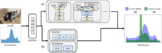 Figure 1 for Heterogeneous Generative Knowledge Distillation with Masked Image Modeling