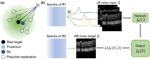 Figure 1 for Sub2Full: split spectrum to boost OCT despeckling without clean data