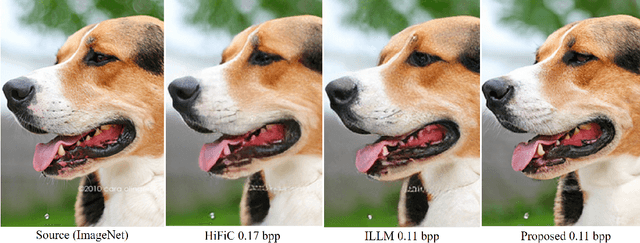 Figure 1 for Idempotence and Perceptual Image Compression