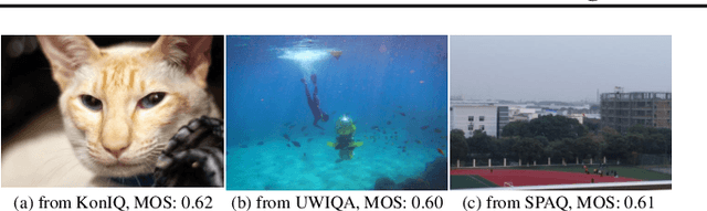 Figure 2 for Gamma: Toward Generic Image Assessment with Mixture of Assessment Experts