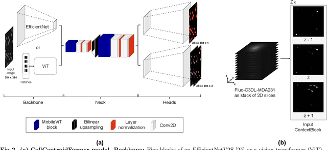 Figure 3 for Self-supervised Pseudo-colorizing of Masked Cells