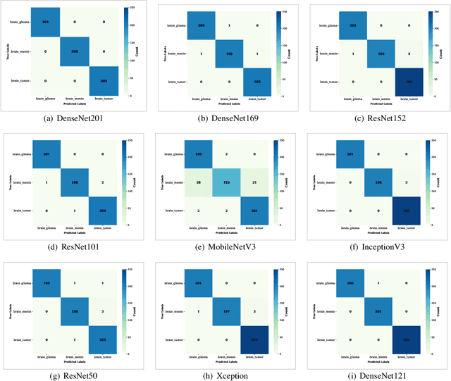 Figure 4 for From Images to Insights: Transforming Brain Cancer Diagnosis with Explainable AI