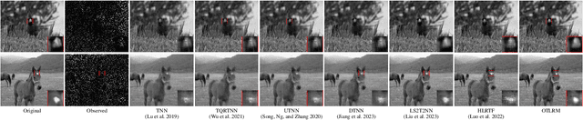 Figure 4 for OTLRM: Orthogonal Learning-based Low-Rank Metric for Multi-Dimensional Inverse Problems