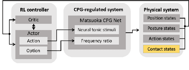 Figure 4 for Technical Report: A Contact-aware Feedback CPG System for Learning-based Locomotion Control in a Soft Snake Robot