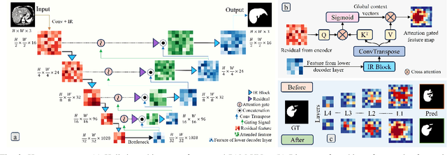 Figure 2 for PAM-UNet: Shifting Attention on Region of Interest in Medical Images