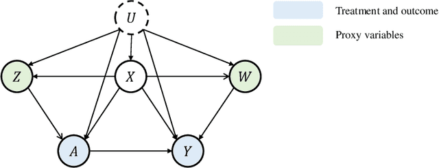 Figure 1 for Doubly Robust Proximal Causal Learning for Continuous Treatments