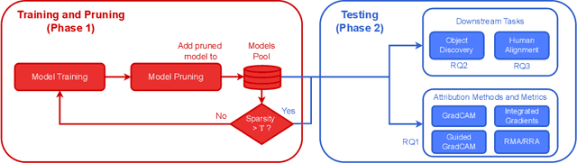 Figure 1 for When Does Pruning Benefit Vision Representations?