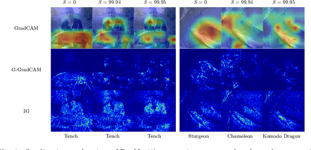 Figure 2 for When Does Pruning Benefit Vision Representations?