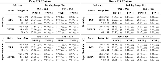 Figure 2 for Investigating the Feasibility of Patch-based Inference for Generalized Diffusion Priors in Inverse Problems for Medical Images