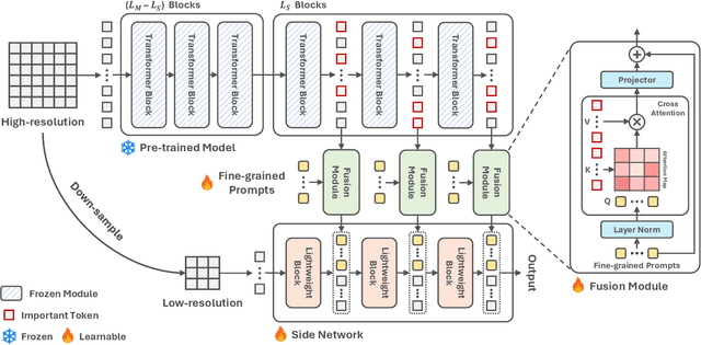 Figure 3 for FPT+: A Parameter and Memory Efficient Transfer Learning Method for High-resolution Medical Image Classification