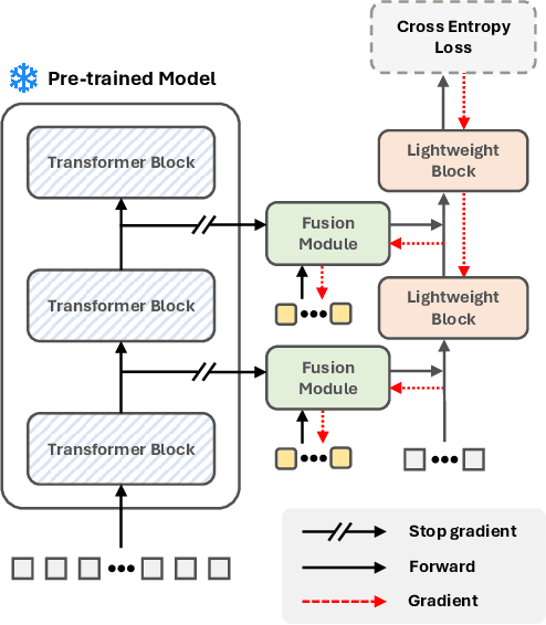 Figure 4 for FPT+: A Parameter and Memory Efficient Transfer Learning Method for High-resolution Medical Image Classification