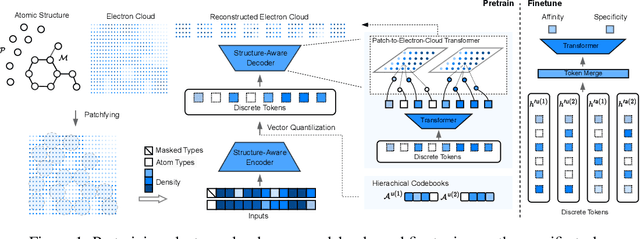 Figure 1 for Tokenizing Electron Cloud in Protein-Ligand Interaction Learning