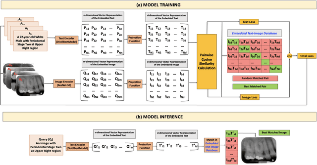 Figure 1 for Dental CLAIRES: Contrastive LAnguage Image REtrieval Search for Dental Research