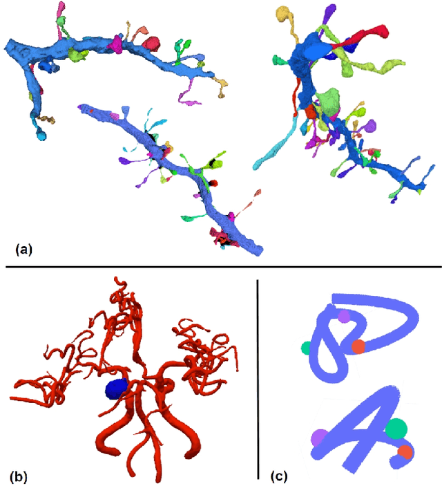 Figure 1 for FreSeg: Frenet-Frame-based Part Segmentation for 3D Curvilinear Structures