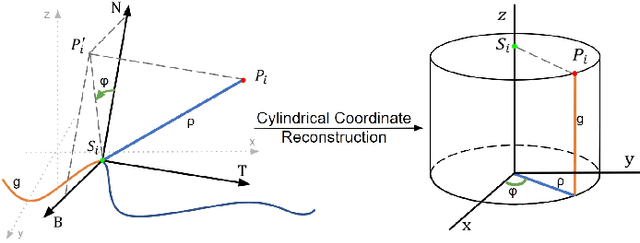 Figure 3 for FreSeg: Frenet-Frame-based Part Segmentation for 3D Curvilinear Structures