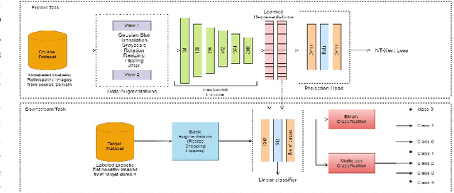 Figure 1 for Learning Self-Supervised Representations for Label Efficient Cross-Domain Knowledge Transfer on Diabetic Retinopathy Fundus Images