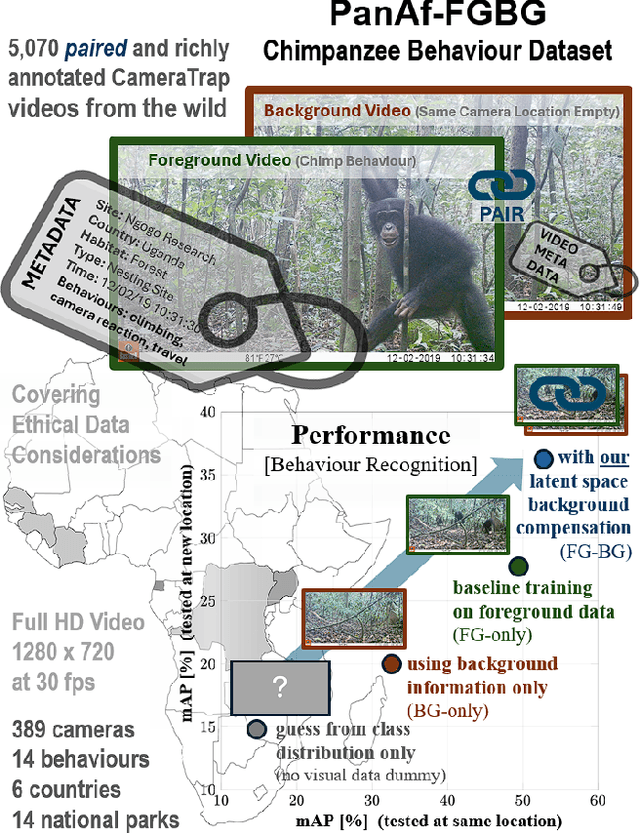 Figure 1 for The PanAf-FGBG Dataset: Understanding the Impact of Backgrounds in Wildlife Behaviour Recognition