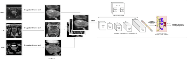 Figure 1 for Enhancing Trust in Clinically Significant Prostate Cancer Prediction with Multiple Magnetic Resonance Imaging Modalities