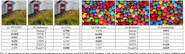 Figure 3 for From Distance to Dependency: A Paradigm Shift of Full-reference Image Quality Assessment