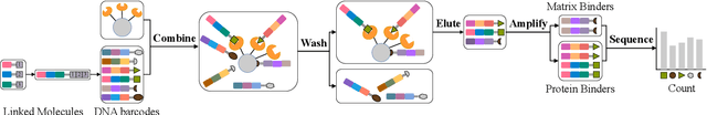 Figure 1 for Unlocking Potential Binders: Multimodal Pretraining DEL-Fusion for Denoising DNA-Encoded Libraries