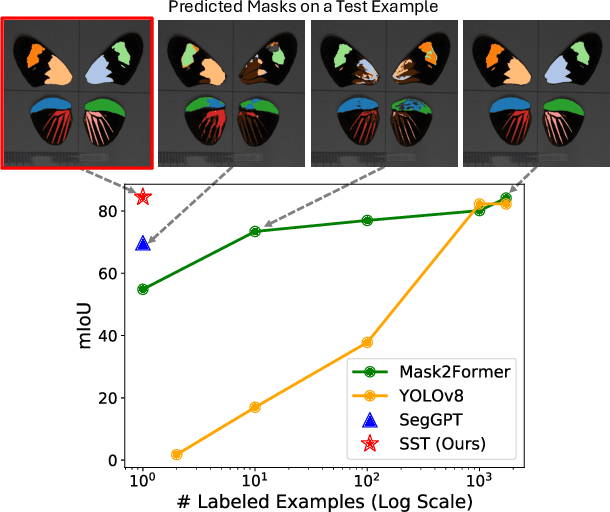 Figure 1 for Static Segmentation by Tracking: A Frustratingly Label-Efficient Approach to Fine-Grained Segmentation