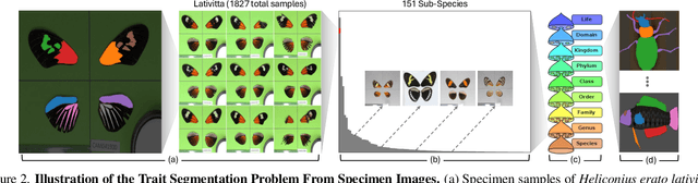 Figure 3 for Static Segmentation by Tracking: A Frustratingly Label-Efficient Approach to Fine-Grained Segmentation