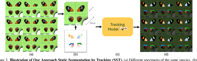 Figure 4 for Static Segmentation by Tracking: A Frustratingly Label-Efficient Approach to Fine-Grained Segmentation