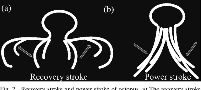 Figure 2 for Octopus-Swimming-Like Robot with Soft Asymmetric Arms