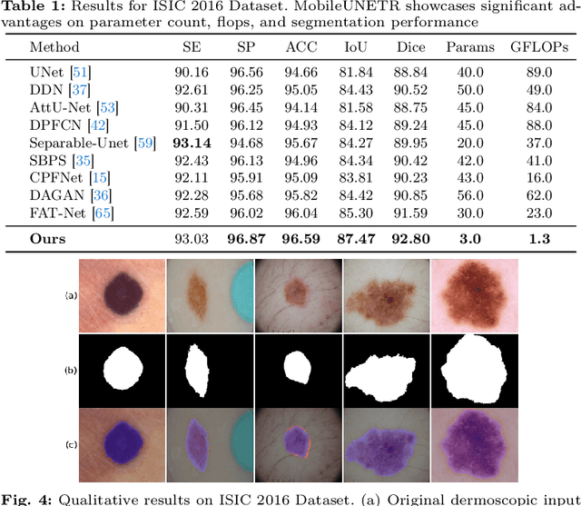 Figure 2 for MobileUNETR: A Lightweight End-To-End Hybrid Vision Transformer For Efficient Medical Image Segmentation