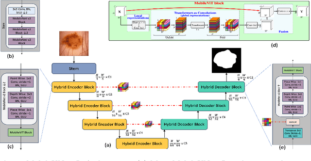 Figure 3 for MobileUNETR: A Lightweight End-To-End Hybrid Vision Transformer For Efficient Medical Image Segmentation