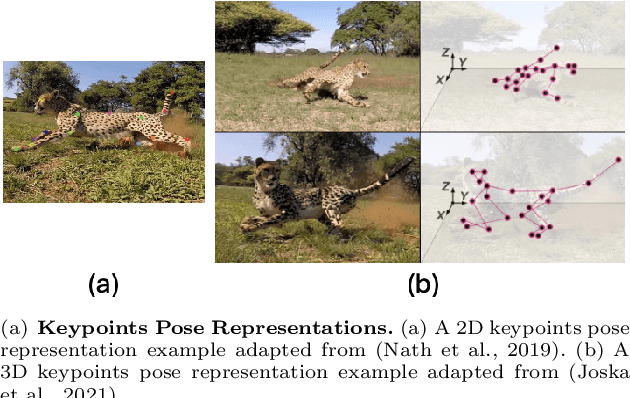 Figure 1 for Towards Multi-Modal Animal Pose Estimation: An In-Depth Analysis