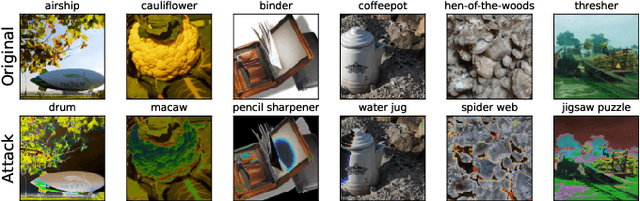 Figure 1 for Don't Look into the Sun: Adversarial Solarization Attacks on Image Classifiers