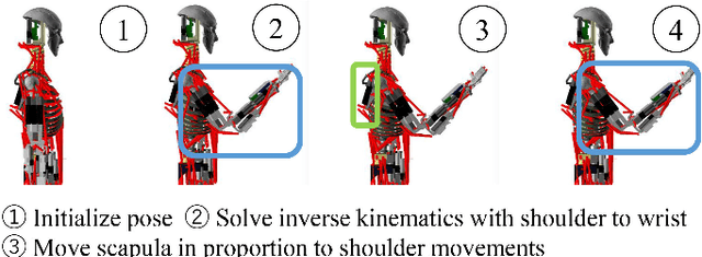 Figure 2 for Self-Body Image Acquisition and Posture Generation with Redundancy using Musculoskeletal Humanoid Shoulder Complex for Object Manipulation