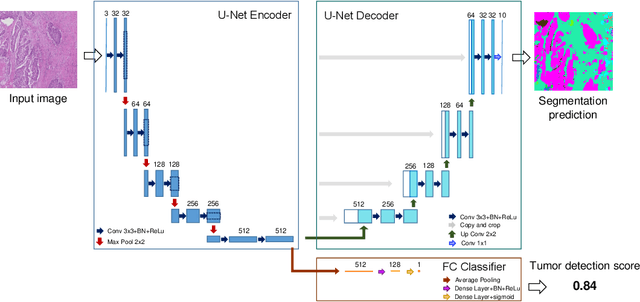 Figure 3 for Multi-task learning for tissue segmentation and tumor detection in colorectal cancer histology slides