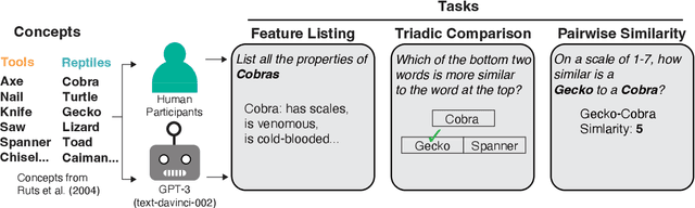 Figure 1 for Behavioral estimates of conceptual structure are robust across tasks in humans but not large language models