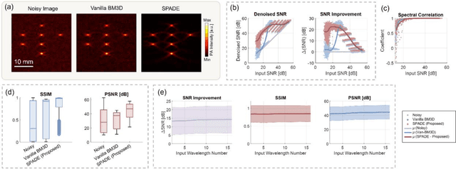 Figure 3 for SPADE: Spectroscopic Photoacoustic Denoising using an Analytical and Data-free Enhancement Framework