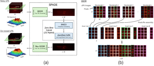 Figure 1 for SPADE: Spectroscopic Photoacoustic Denoising using an Analytical and Data-free Enhancement Framework