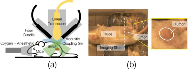 Figure 2 for SPADE: Spectroscopic Photoacoustic Denoising using an Analytical and Data-free Enhancement Framework