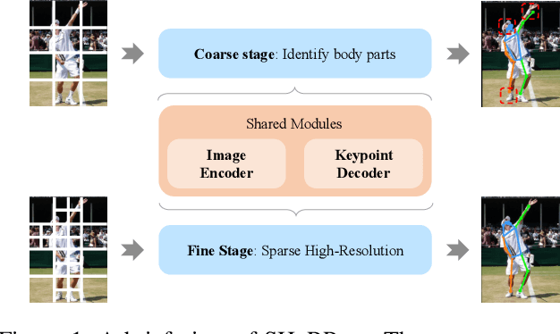 Figure 1 for SHaRPose: Sparse High-Resolution Representation for Human Pose Estimation